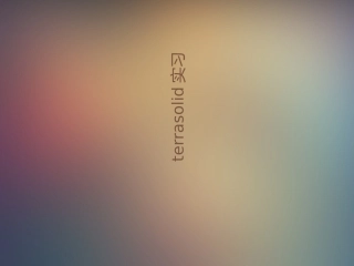 terrasolid实习报告