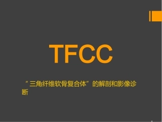 TFCC损伤骨关节会议讲课用优秀医学课件