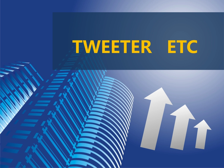 TWEETER公司管理学案例分析_第1页