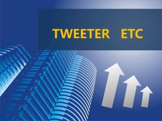 TWEETER公司管理学案例分析