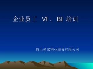 VIBI培训资料