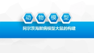 阿尔茨海默症动物模型