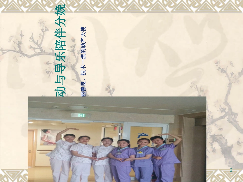 爱母分娩行动与导乐陪伴分娩邵红侠_第2页