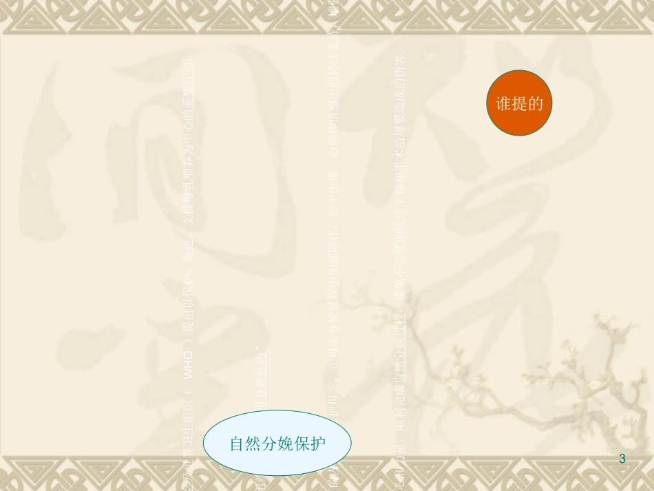 爱母分娩行动与导乐陪伴分娩邵红侠_第3页