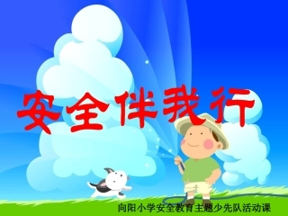 安全教育主题少先队活动课
