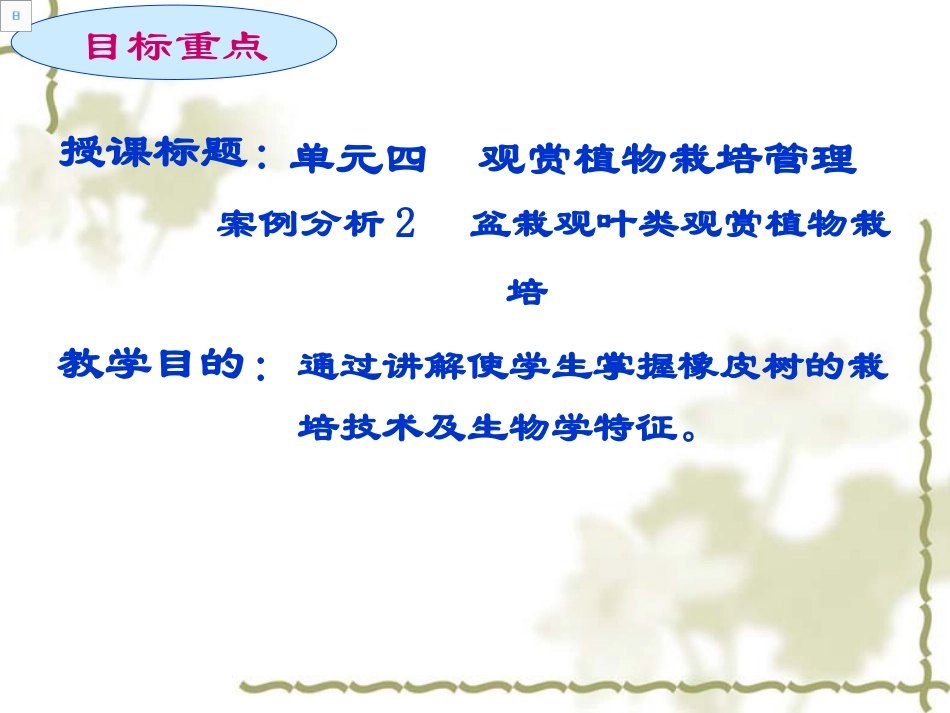 案例分析2橡皮树_第2页