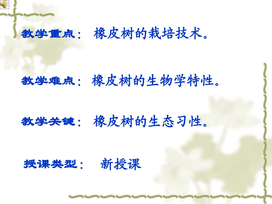 案例分析2橡皮树_第3页