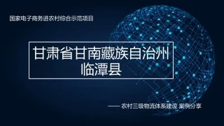 案例分享农村三级物流体系