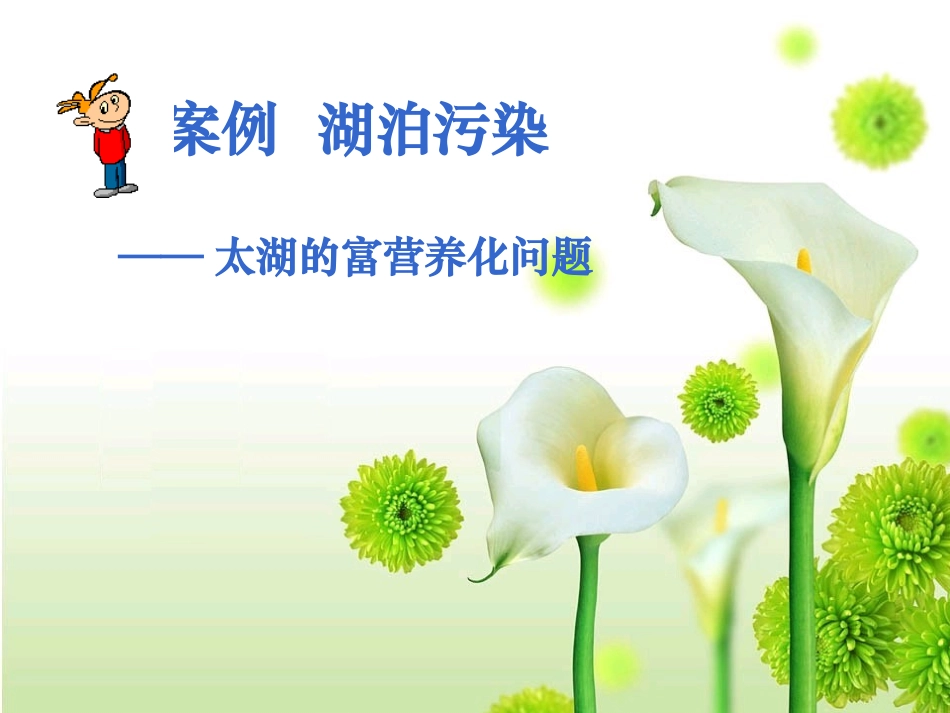案例湖泊污染太湖的富营养化问题_第1页