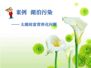 案例湖泊污染太湖的富营养化问题