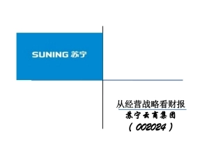 案例苏宁电器财务报表分析案例