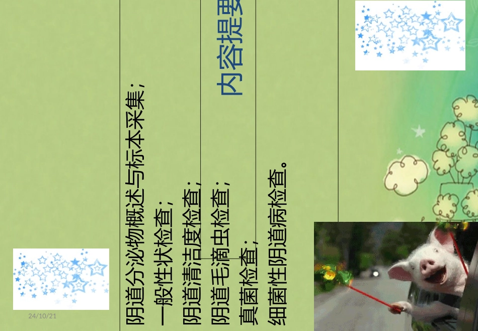 白带检验规范_第3页