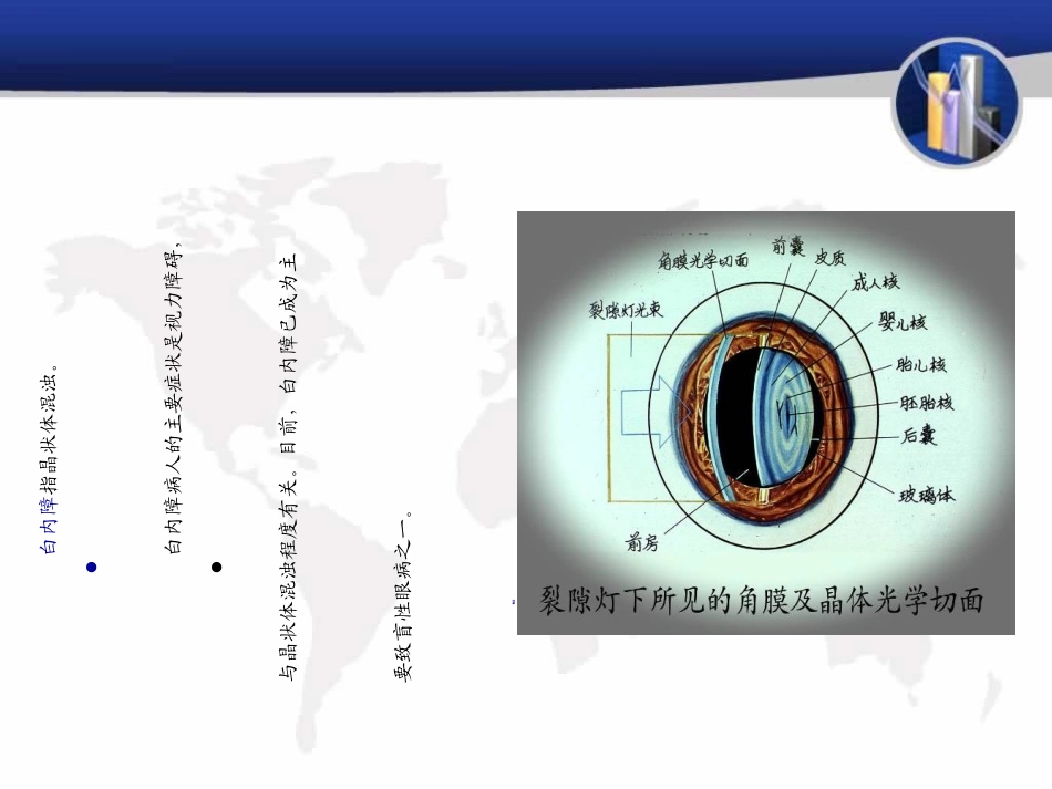 白内障护理课件_第2页