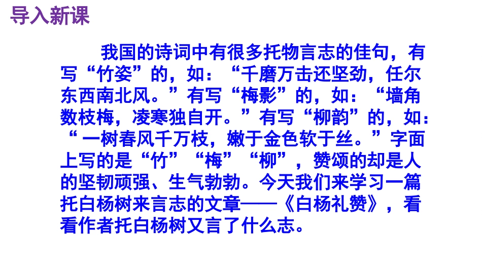 白杨礼赞精品讲义_第2页