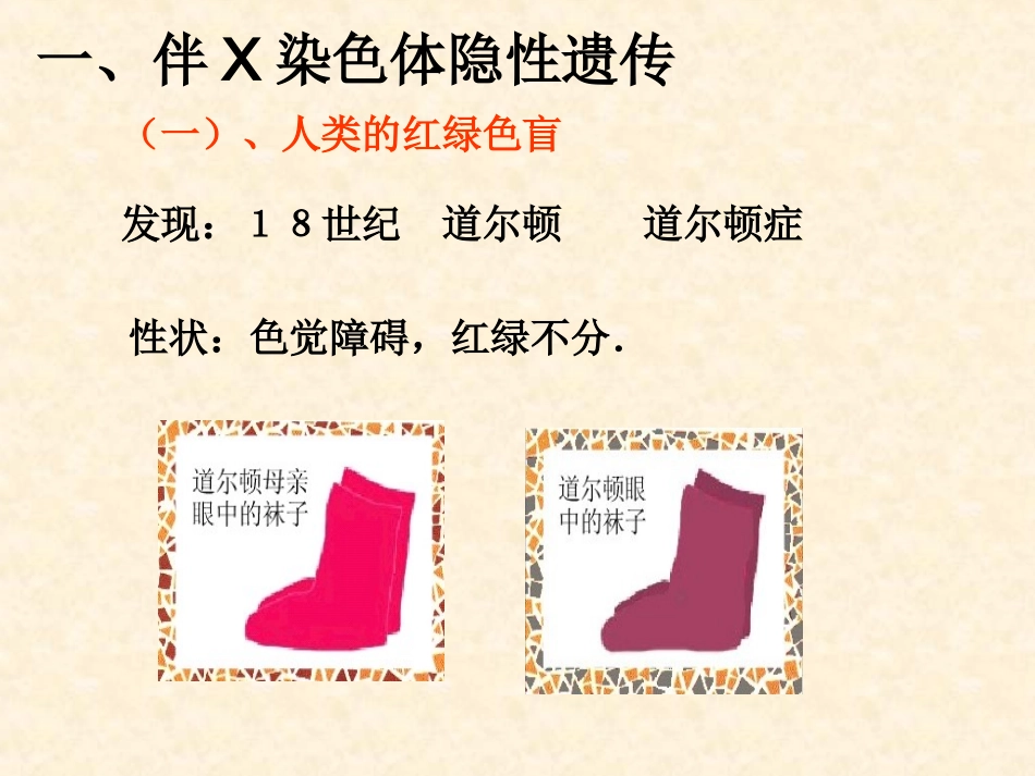 伴性遗传优秀课件._第3页