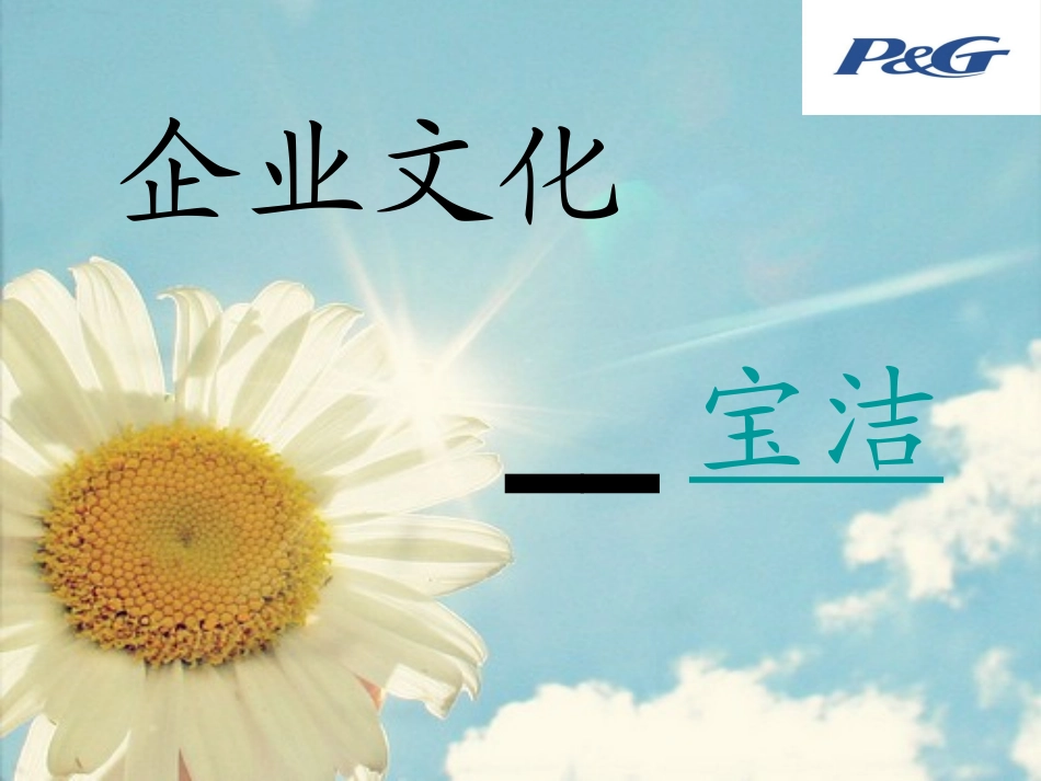 宝洁企业文化_第1页