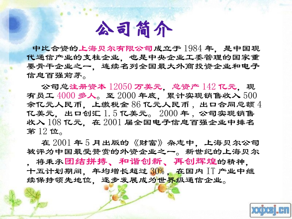 贝尔公司可行性分析报告_第2页