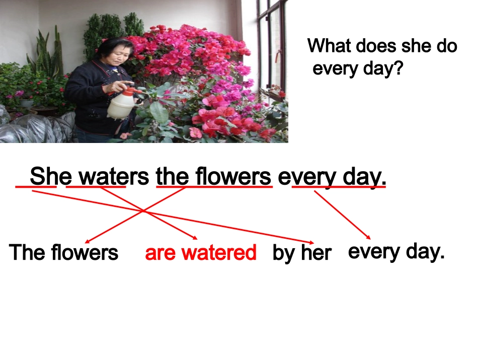 被动语态用法详解_第3页