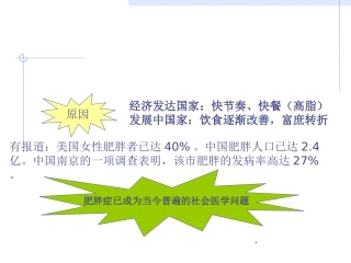 本功能性食品设计减肥