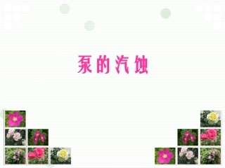 泵的汽蚀报告