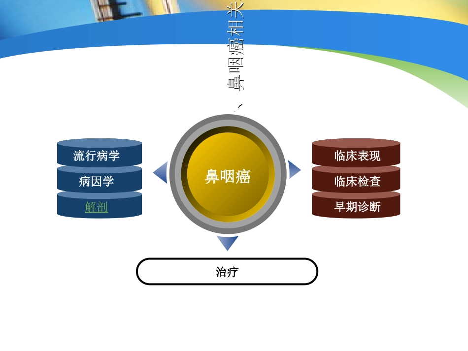 鼻咽癌放疗患者的护理_第2页