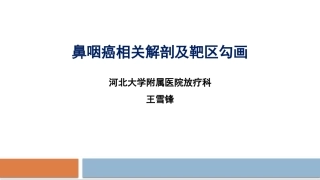 鼻咽癌相关解剖及靶区勾画
