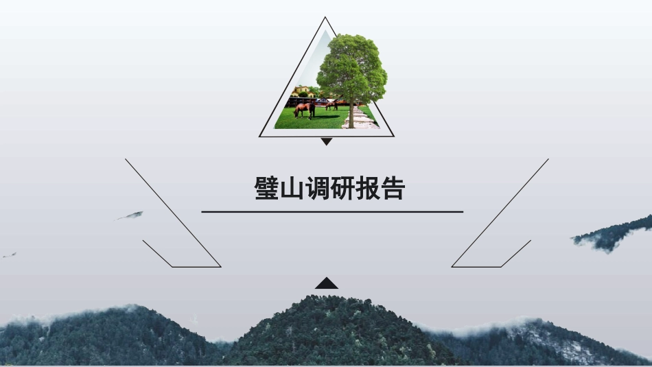 璧山调研报告_第1页