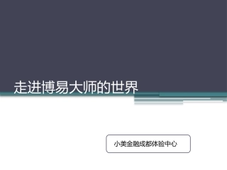 博易大师使用手册