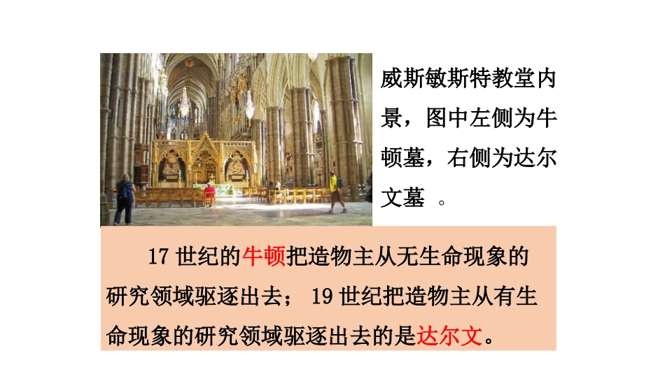 部编版九年级历史下第7课近代科学与文化_第2页