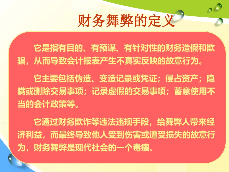 财务舞弊分析_第2页