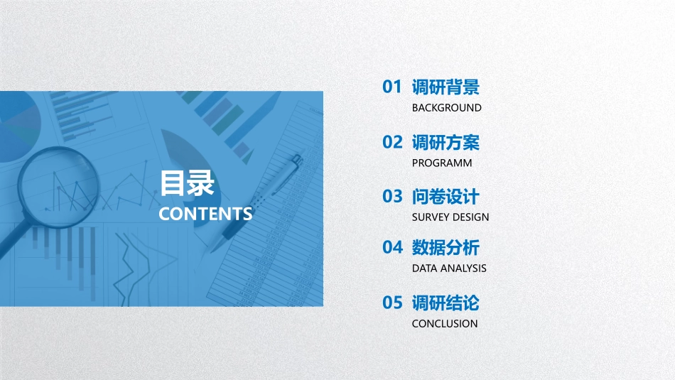 餐饮项目调研报告_第2页