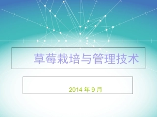 草莓种植培训资料