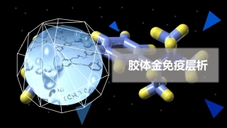 侧向免疫层析基础理论