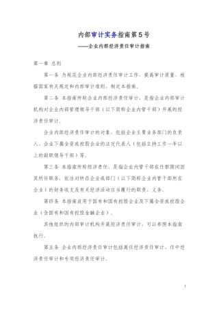 内部审计实务指南第5号--企业内部经济责任审计指南
