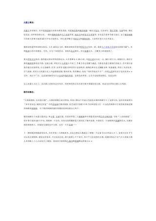 内蒙额济纳旗胡杨林旅游攻略