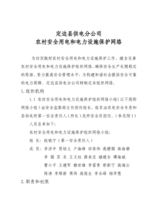 农村安全用电和电力设施保护组织网络