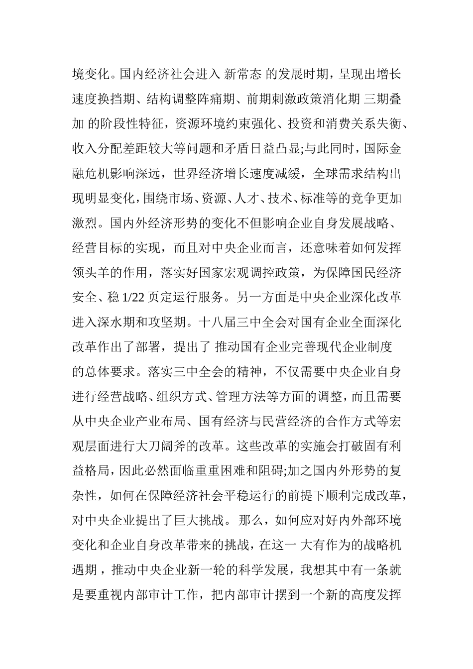 内部审计座谈会发言稿_第2页