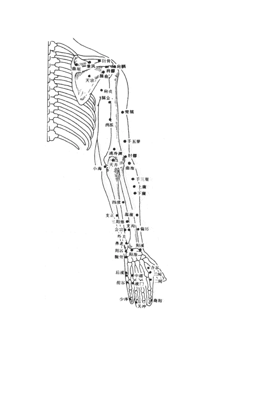 内关穴位置图_第2页