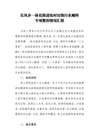 农村三大革命汇报