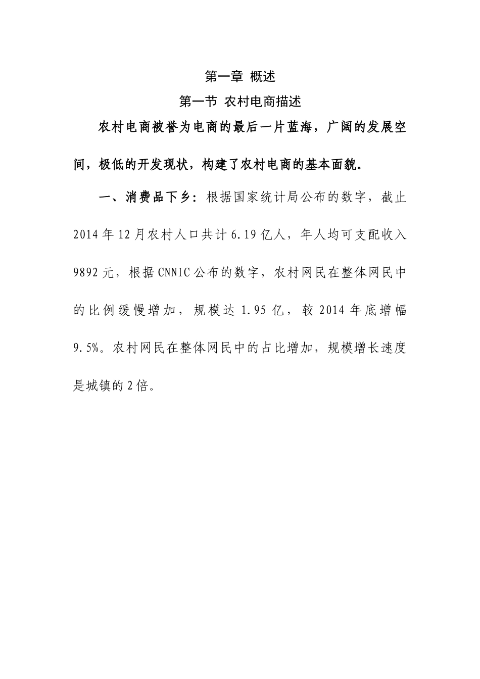 农村电商多平台运营计划_第3页