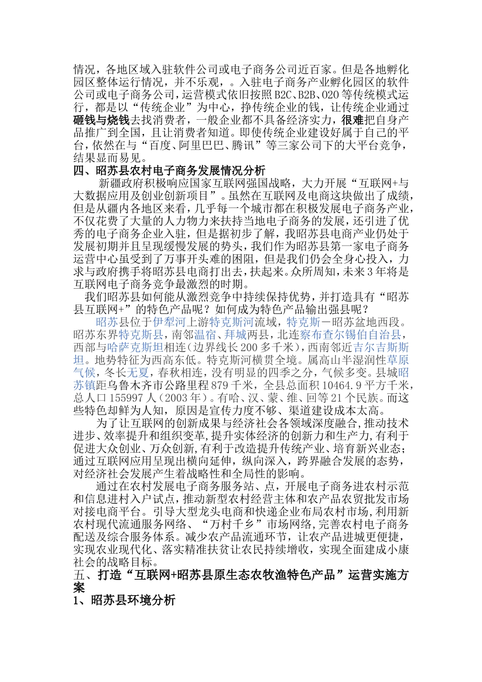 农村电商服务站策划方案_第2页