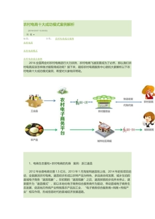 农村电商十大成功模式案例解析