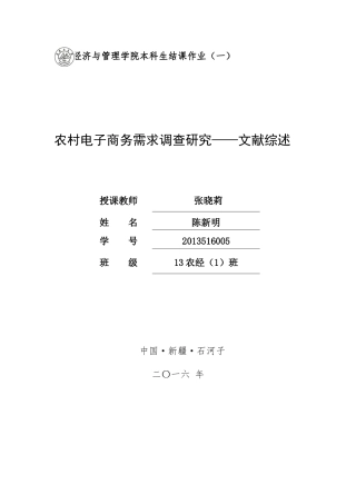 农村电子商务需求调查研究——文献综述