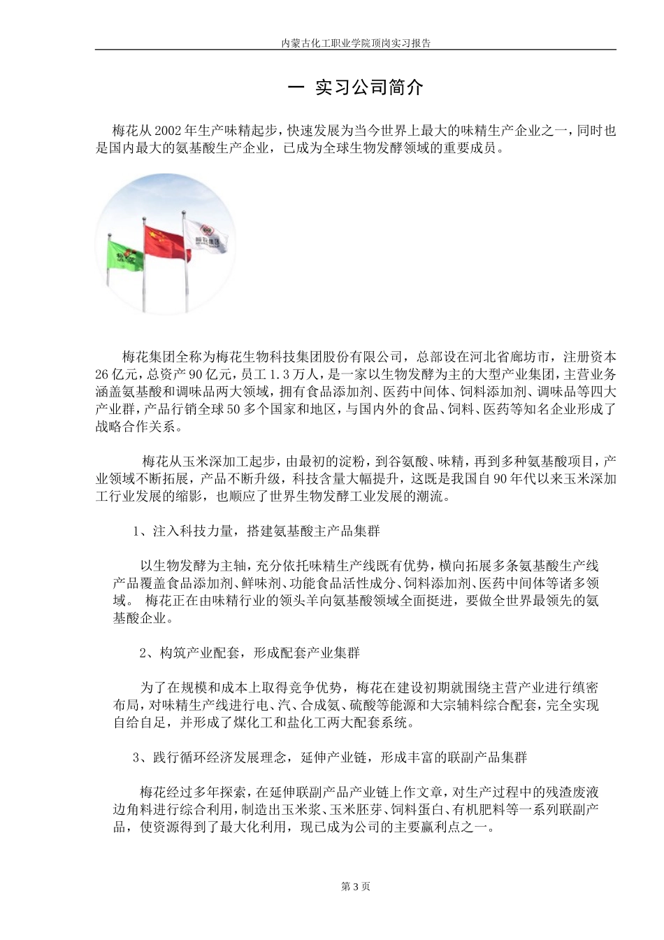 内蒙古化工职业学院-定岗实习报-黄星云_第3页