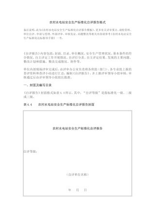 农村水电站安全生产标准化自评报告(模板)