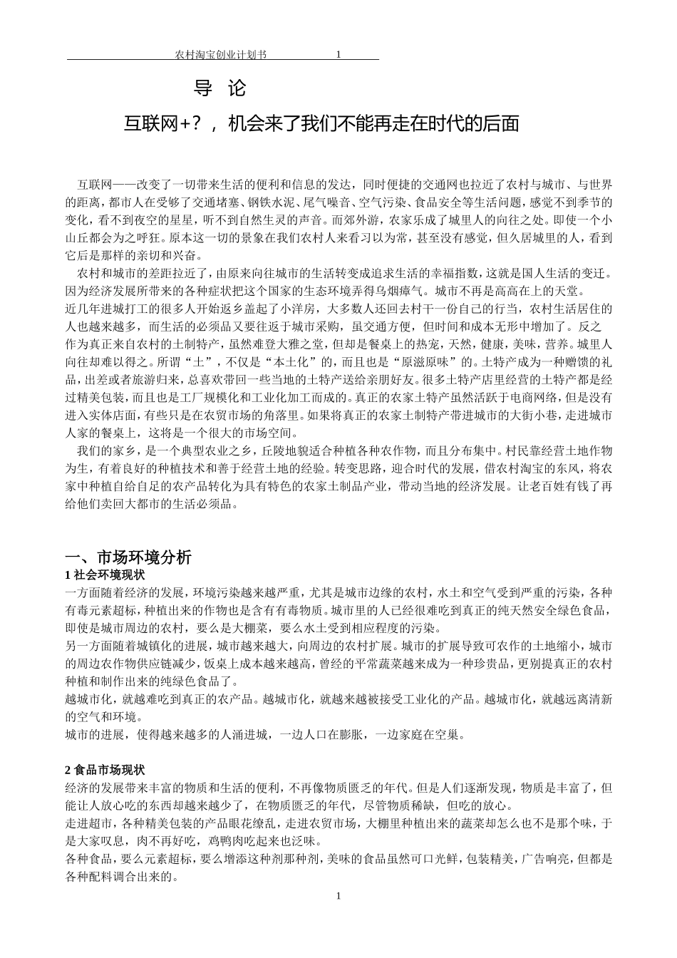 农村淘宝创业计划书_第2页