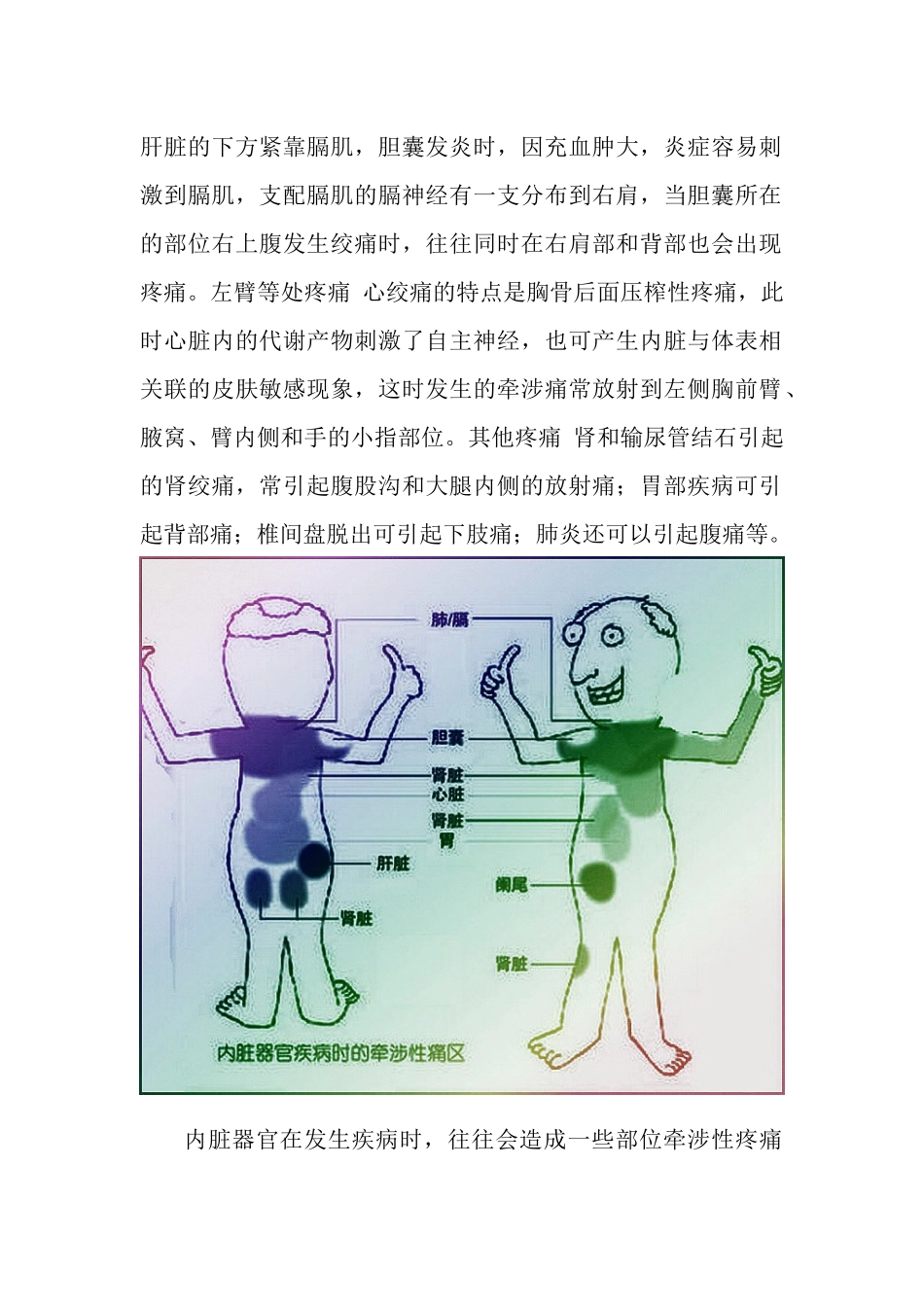 内脏器官对应疼痛图_第2页
