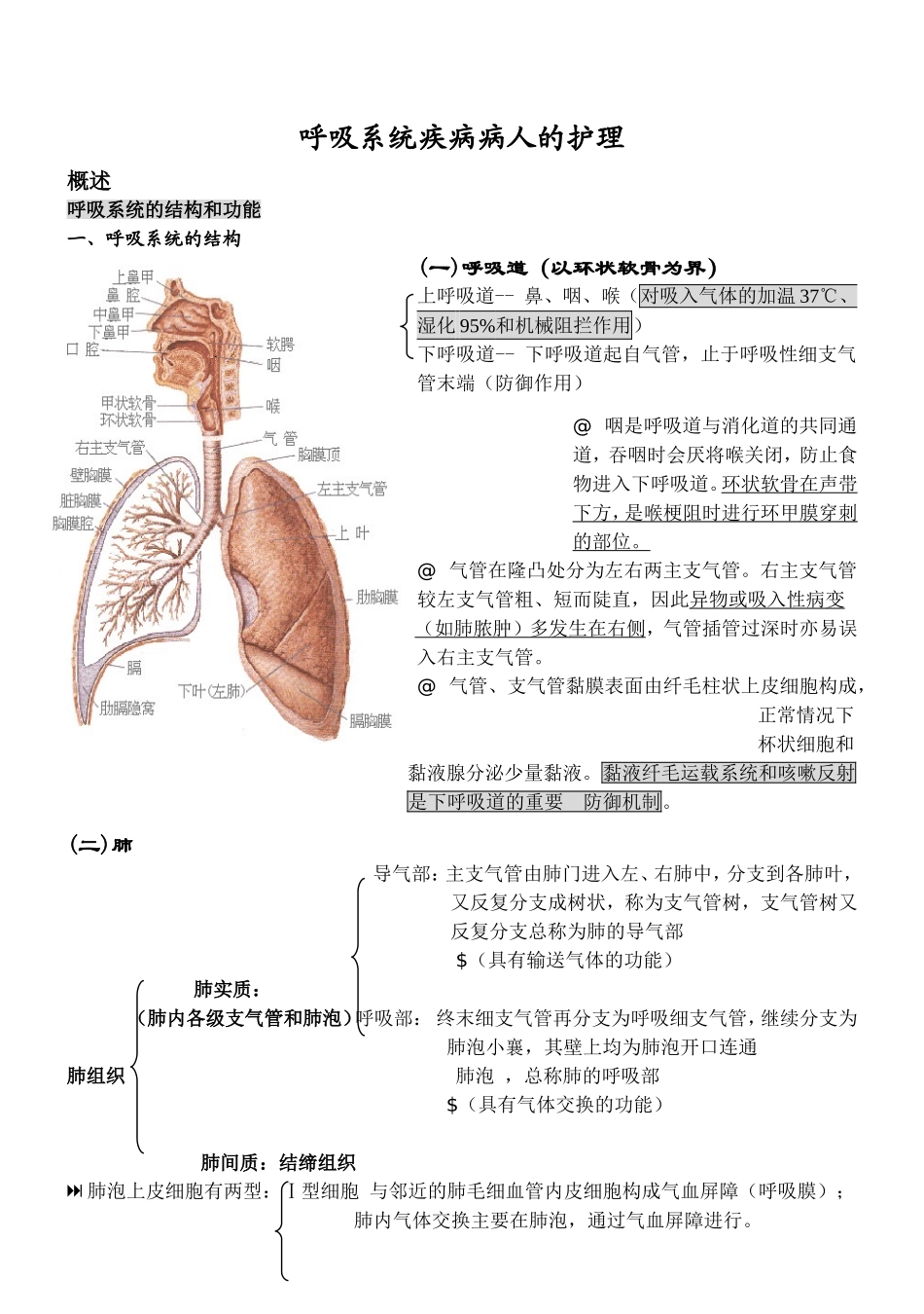 内科护理学笔记(呼吸系统)_第1页