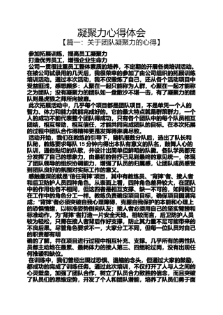 凝聚力心得体会