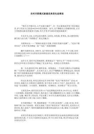 农村共联模式新建设典型先进事迹-总结报告模板